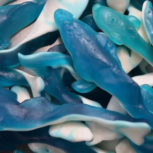 Giant blue dolphins 100g